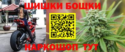 дживик Камышлов