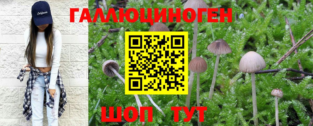 Фролово  Галлюциногенные грибы Magic Shrooms  Галлюциногенные грибы мухоморы  Вход с VPN 